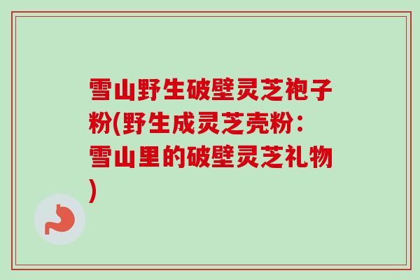 雪山野生破壁灵芝袍子粉(野生成灵芝壳粉：雪山里的破壁灵芝礼物)