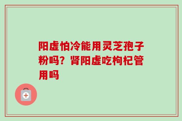 阳虚怕冷能用灵芝孢子粉吗？肾阳虚吃枸杞管用吗