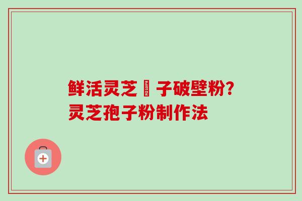 鲜活灵芝菢子破壁粉？灵芝孢子粉制作法