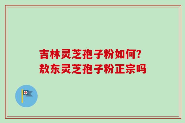 吉林灵芝孢子粉如何？敖东灵芝孢子粉正宗吗