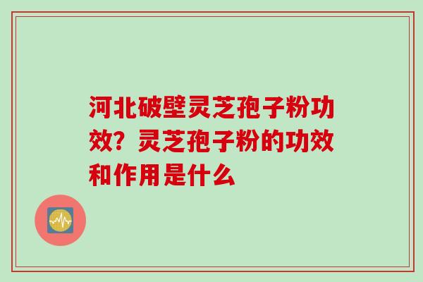 河北破壁灵芝孢子粉功效？灵芝孢子粉的功效和作用是什么