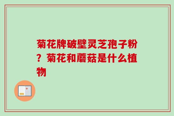 菊花牌破壁灵芝孢子粉?菊花和蘑菇是什么植物