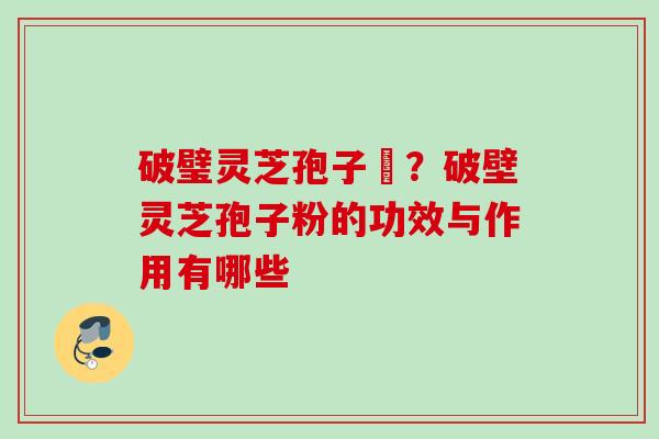 破璧灵芝孢子枌？破壁灵芝孢子粉的功效与作用有哪些