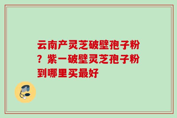 云南产灵芝破壁孢子粉？紫一破壁灵芝孢子粉到哪里买最好