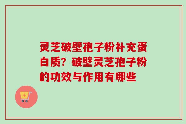 灵芝破壁孢子粉补充蛋白质?破壁灵芝孢子粉的功效与作用有哪些