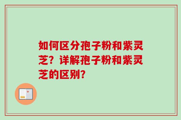 如何区分孢子粉和紫灵芝？详解孢子粉和紫灵芝的区别？