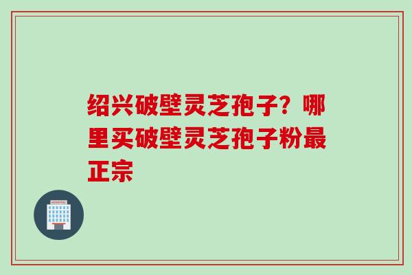 绍兴破壁灵芝孢子？哪里买破壁灵芝孢子粉最正宗