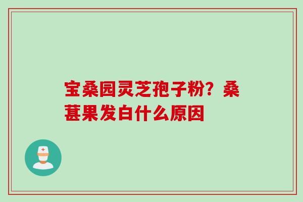 宝桑园灵芝孢子粉？桑葚果发白什么原因