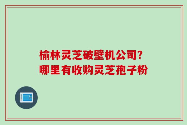 榆林灵芝破壁机公司？哪里有收购灵芝孢子粉