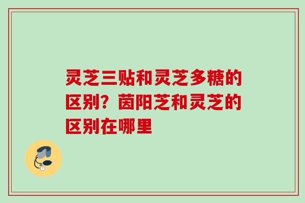 灵芝三贴和灵芝多糖的区别?茵阳芝和灵芝的区别在哪里