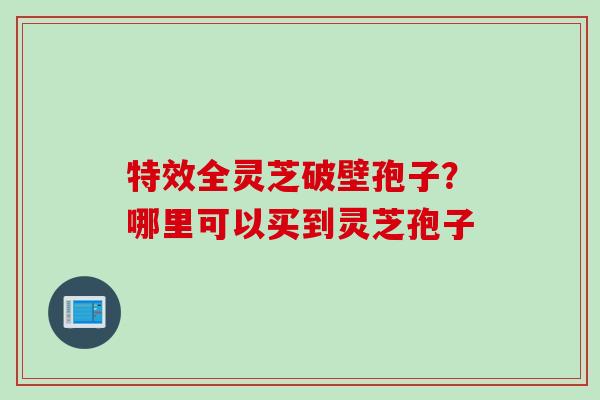 特效全灵芝破壁孢子？哪里可以买到灵芝孢子