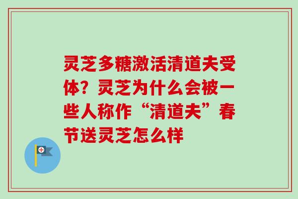灵芝多糖激活清道夫受体?灵芝为什么会被一些人称作“清道夫”春节送灵芝怎么样