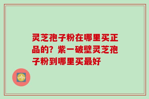 灵芝孢子粉在哪里买正品的?紫一破壁灵芝孢子粉到哪里买最好