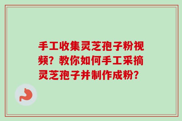 手工收集灵芝孢子粉视频?教你如何手工采摘灵芝孢子并制作成粉?