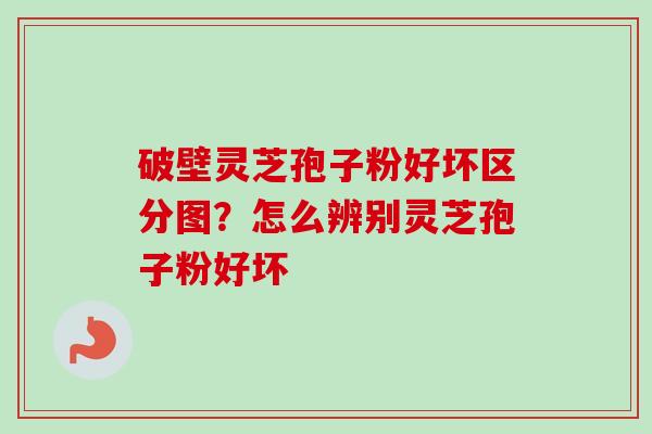 破壁灵芝孢子粉好坏区分图？怎么辨别灵芝孢子粉好坏