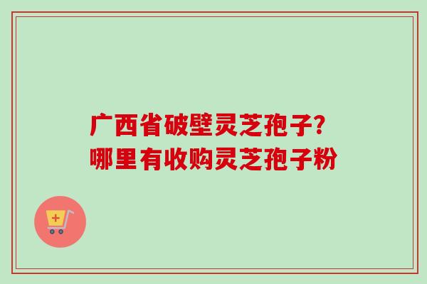 广西省破壁灵芝孢子？哪里有收购灵芝孢子粉