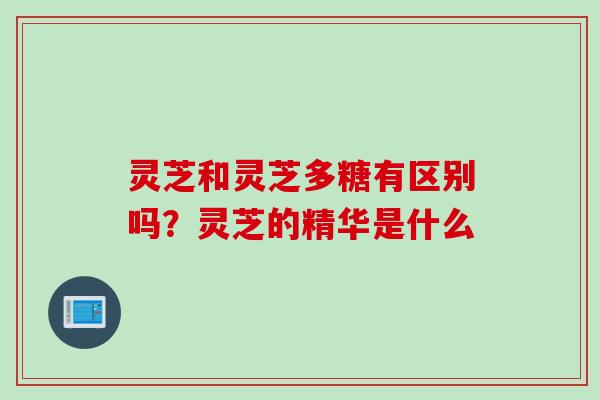 灵芝和灵芝多糖有区别吗?灵芝的精华是什么