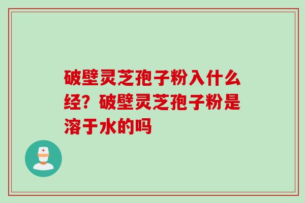 破壁灵芝孢子粉入什么经？破壁灵芝孢子粉是溶于水的吗