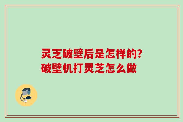 灵芝破壁后是怎样的？破壁机打灵芝怎么做