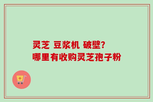 灵芝 豆浆机 破壁？哪里有收购灵芝孢子粉