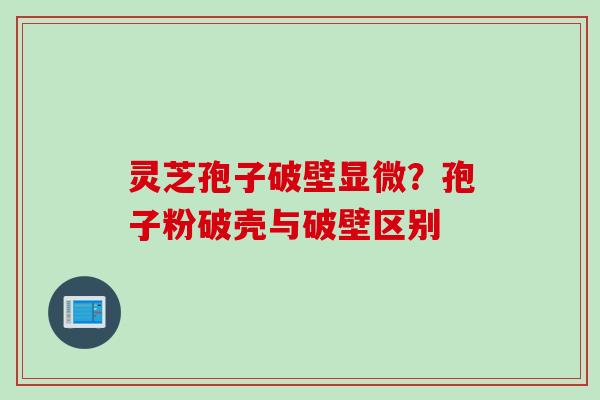 灵芝孢子破壁显微？孢子粉破壳与破壁区别