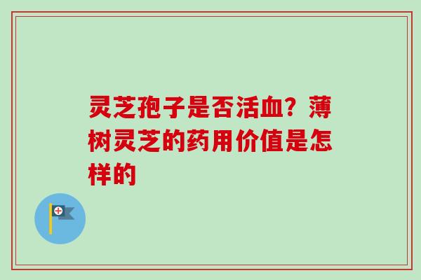 灵芝孢子是否活血？薄树灵芝的药用价值是怎样的