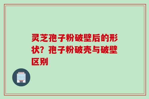 灵芝孢子粉破壁后的形状?孢子粉破壳与破壁区别