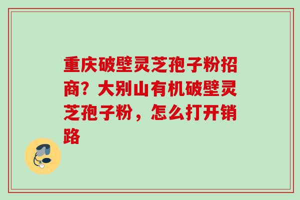 重庆破壁灵芝孢子粉招商？大别山有机破壁灵芝孢子粉，怎么打开销路