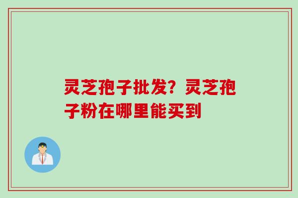 灵芝孢子批发?灵芝孢子粉在哪里能买到