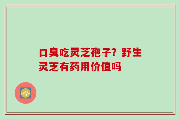 口臭吃灵芝孢子?野生灵芝有药用价值吗