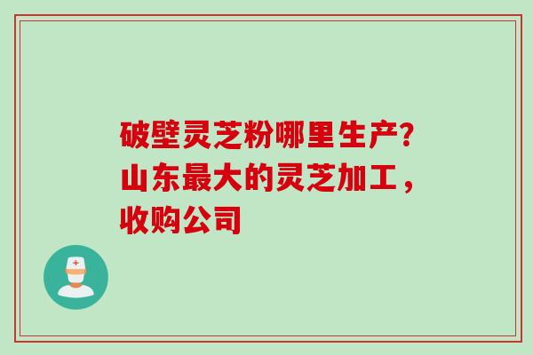 破壁灵芝粉哪里生产？山东最大的灵芝加工，收购公司