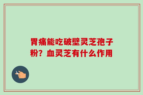 胃痛能吃破壁灵芝孢子粉?血灵芝有什么作用
