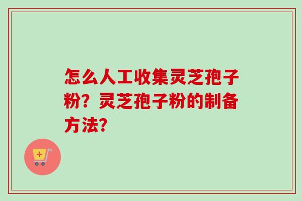 怎么人工收集灵芝孢子粉？灵芝孢子粉的制备方法？