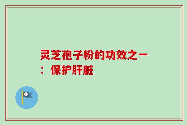 灵芝孢子粉的功效之一：保护肝脏