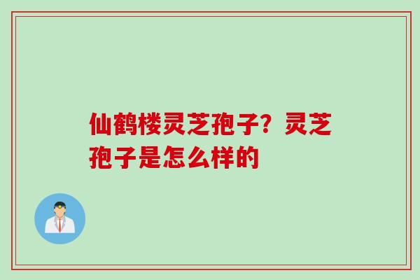 仙鹤楼灵芝孢子？灵芝孢子是怎么样的
