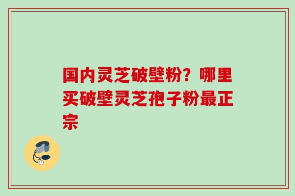 国内灵芝破壁粉？哪里买破壁灵芝孢子粉最正宗