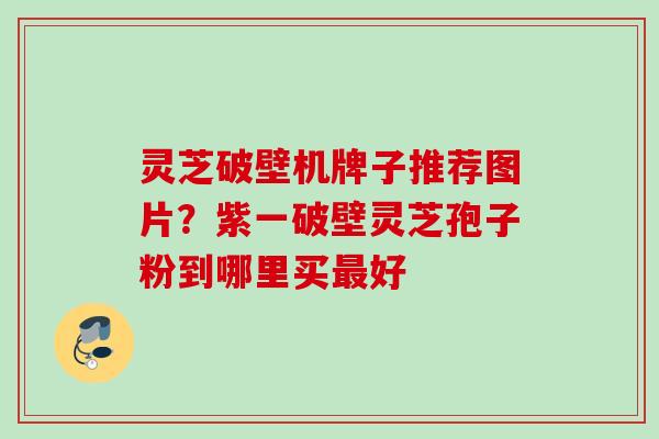 灵芝破壁机牌子推荐图片？紫一破壁灵芝孢子粉到哪里买最好