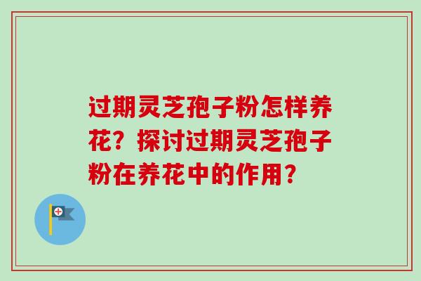 过期灵芝孢子粉怎样养花？探讨过期灵芝孢子粉在养花中的作用？
