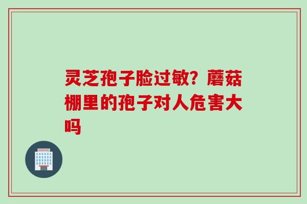 灵芝孢子脸过敏？蘑菇棚里的孢子对人危害大吗