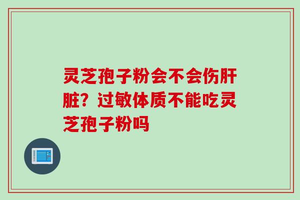 灵芝孢子粉会不会伤肝脏?过敏体质不能吃灵芝孢子粉吗