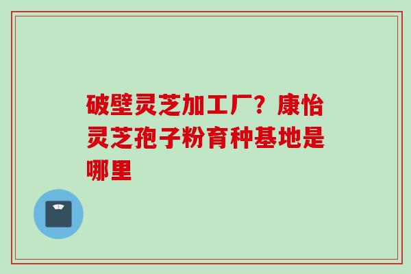 破壁灵芝加工厂？康怡灵芝孢子粉育种基地是哪里