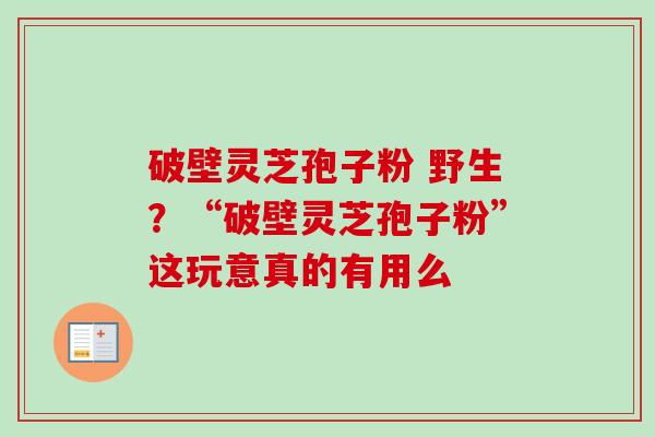 破壁灵芝孢子粉 野生？“破壁灵芝孢子粉”这玩意真的有用么