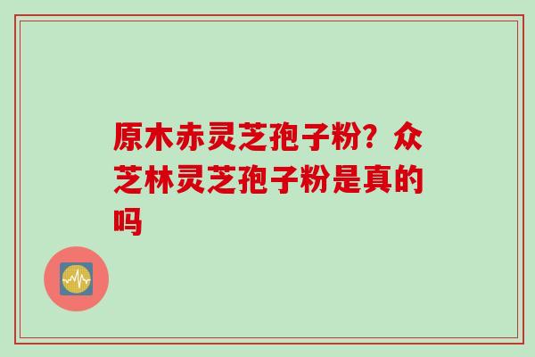 原木赤灵芝孢子粉？众芝林灵芝孢子粉是真的吗