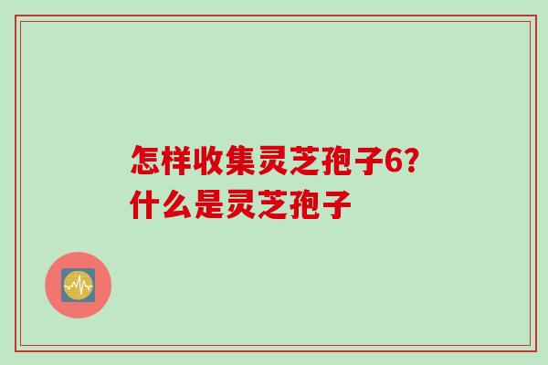 怎样收集灵芝孢子6？什么是灵芝孢子