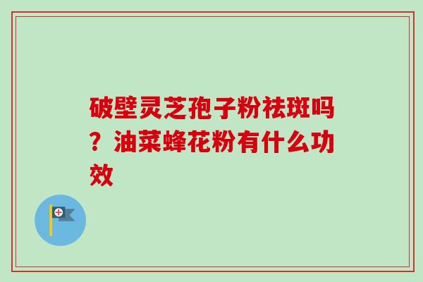破壁灵芝孢子粉祛斑吗？油菜蜂花粉有什么功效