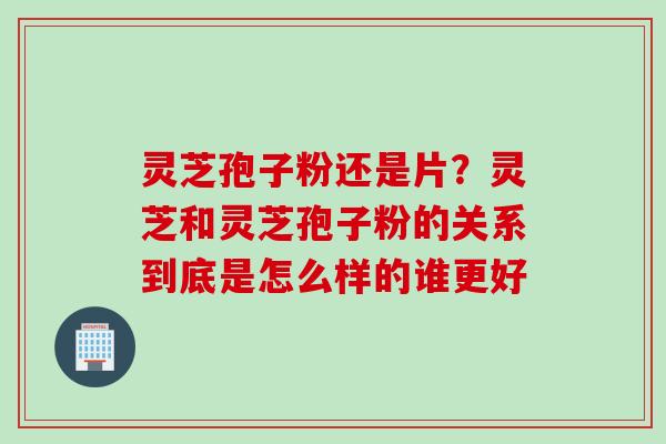 灵芝孢子粉还是片？灵芝和灵芝孢子粉的关系到底是怎么样的谁更好