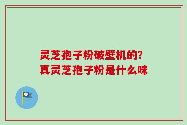 灵芝孢子粉破壁机的？真灵芝孢子粉是什么味