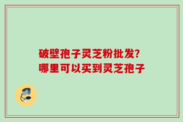 破壁孢子灵芝粉批发？哪里可以买到灵芝孢子