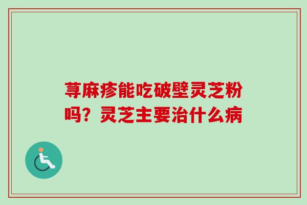 荨麻疹能吃破壁灵芝粉吗？灵芝主要治什么病