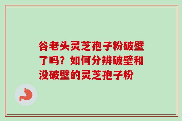 谷老头灵芝孢子粉破壁了吗？如何分辨破壁和没破壁的灵芝孢子粉